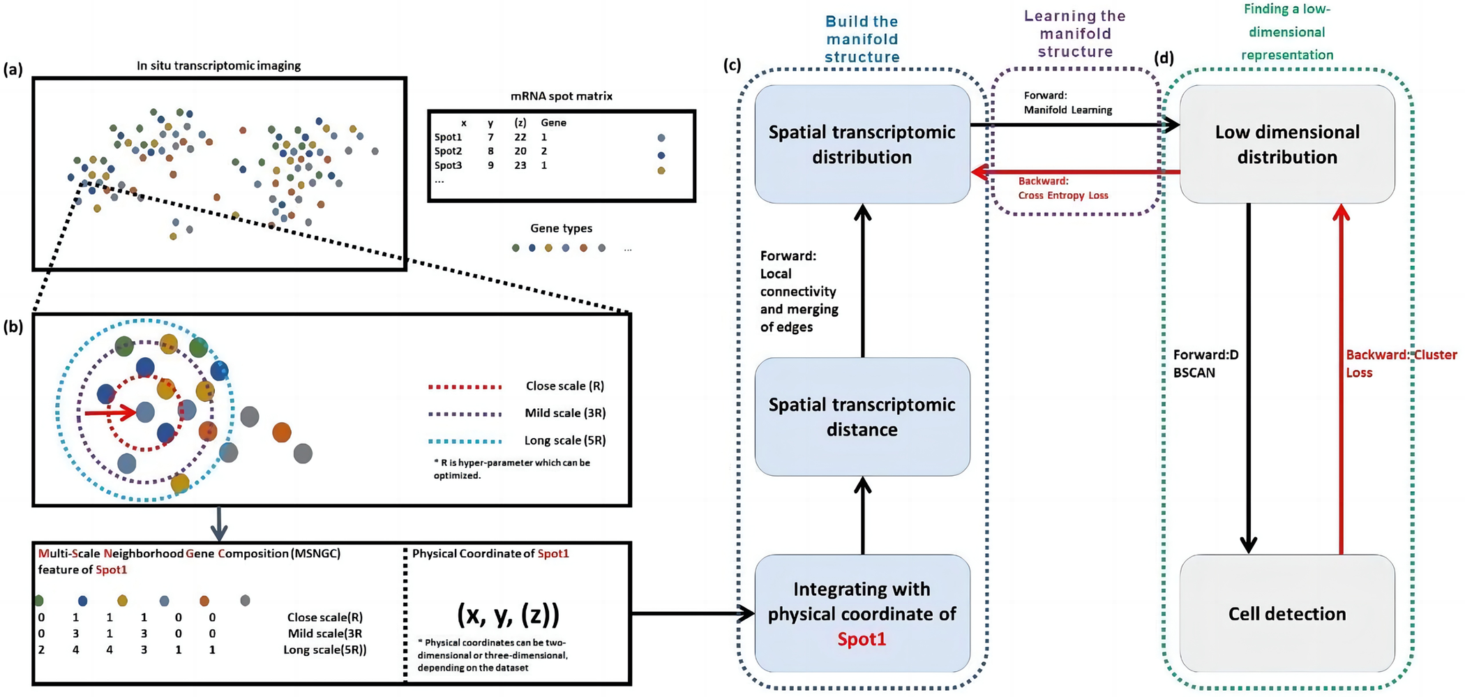 ST-CellSeg: Spatial Transcriptomics Cell Segmentation